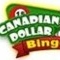 Canadian Dollar Bingo