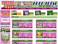 Bingo Fest