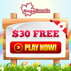 Bingo Canada Review