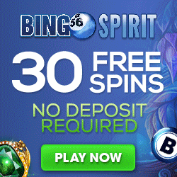 Bingo Spirit Review